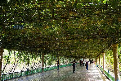 B社仍希望《星空》成为长寿游戏 就像老滚5那样